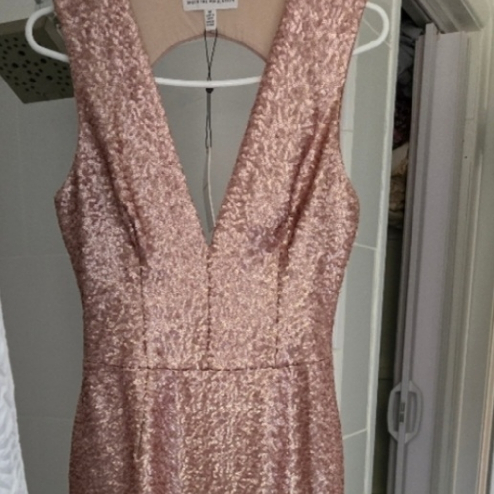 Dress the Population Pink Sleeveless Dress